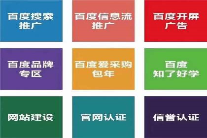 百度推广案例：精准广告投放策略解析
